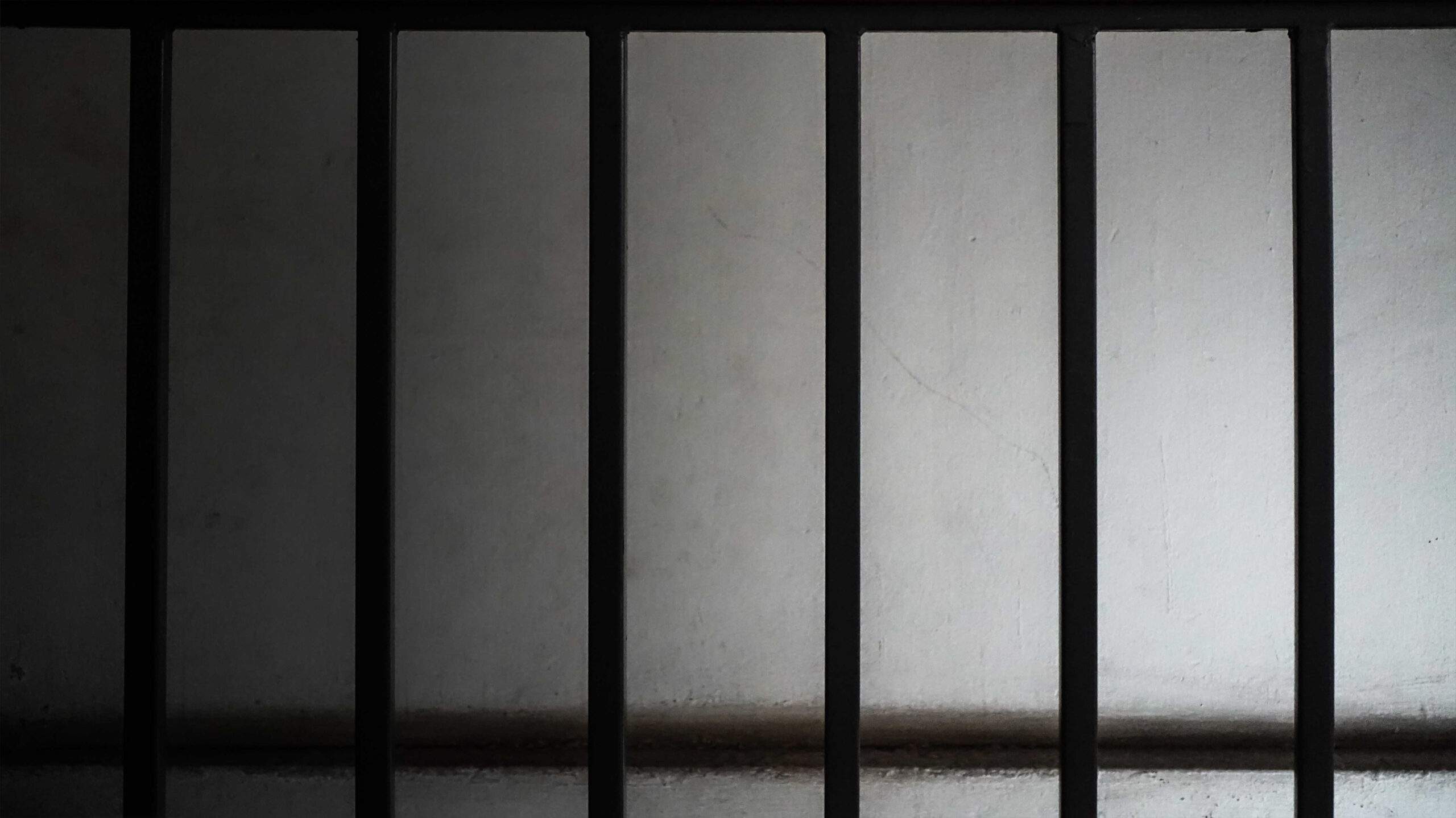 Commercial Security bars